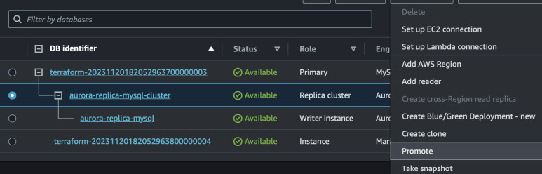Promote Aurora Cluster