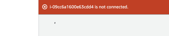 Broken SSM Agent