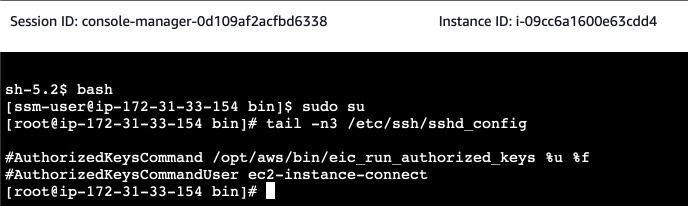 Shell in the browser