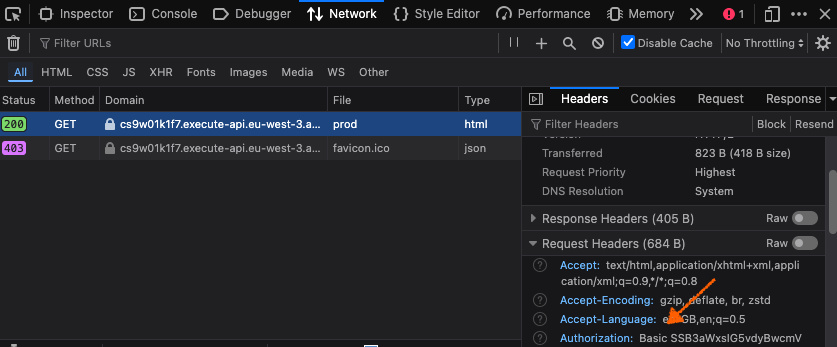 Network tab with Authorization header