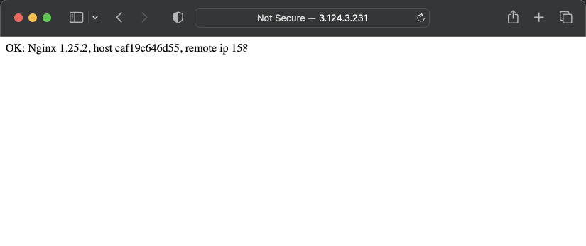 Nginx test page
