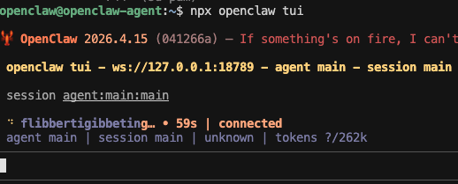 OpenClaw first message